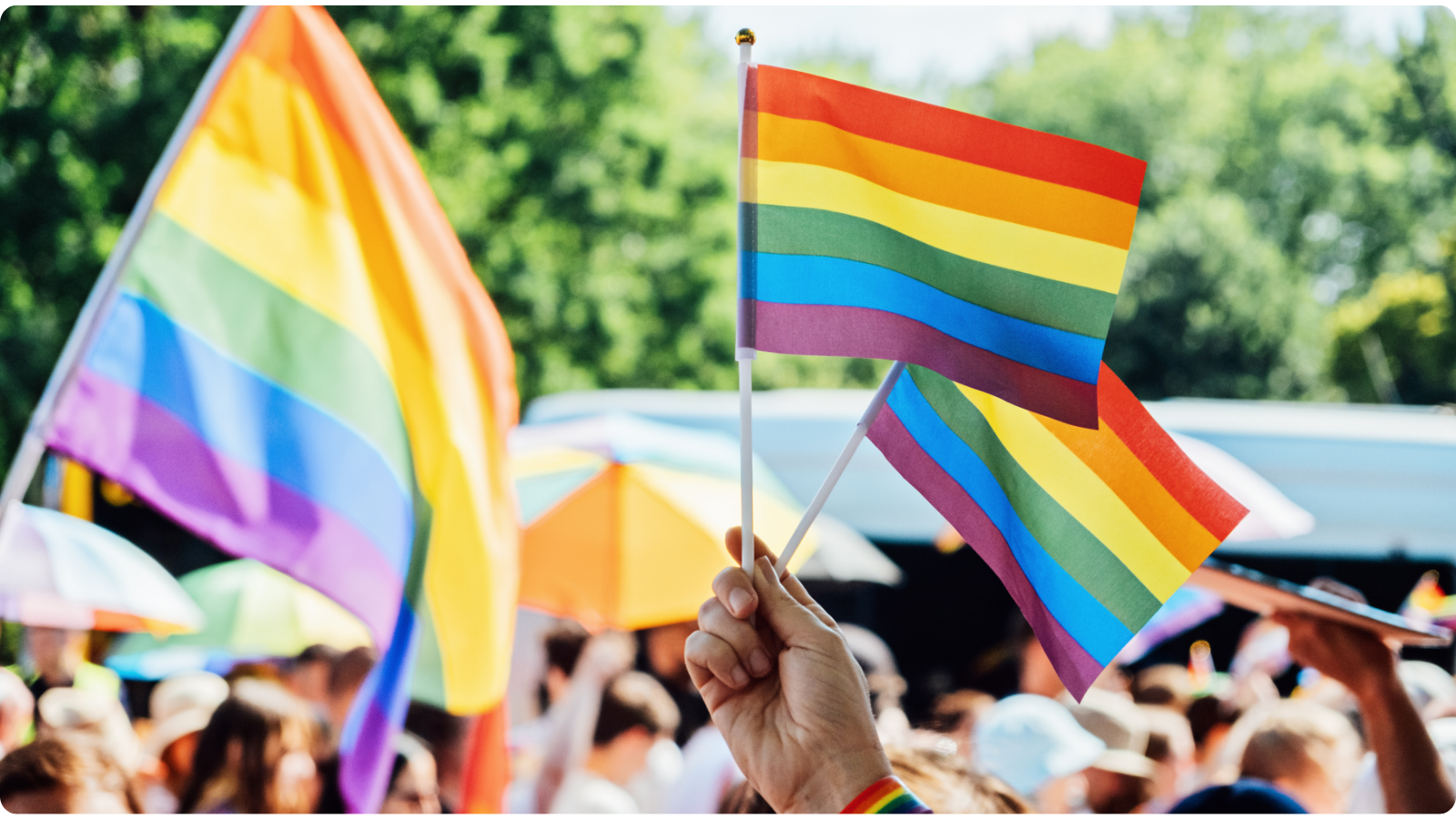 2SLGBTQIA+ Flags